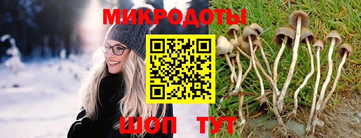 Псилоцибиновые грибы мухоморы  Вход с VPN  Белореченск 